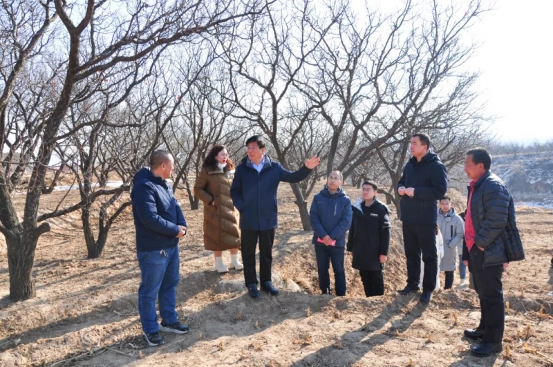 黨委書記馮印濤檢查指導學院下沉駐村工作