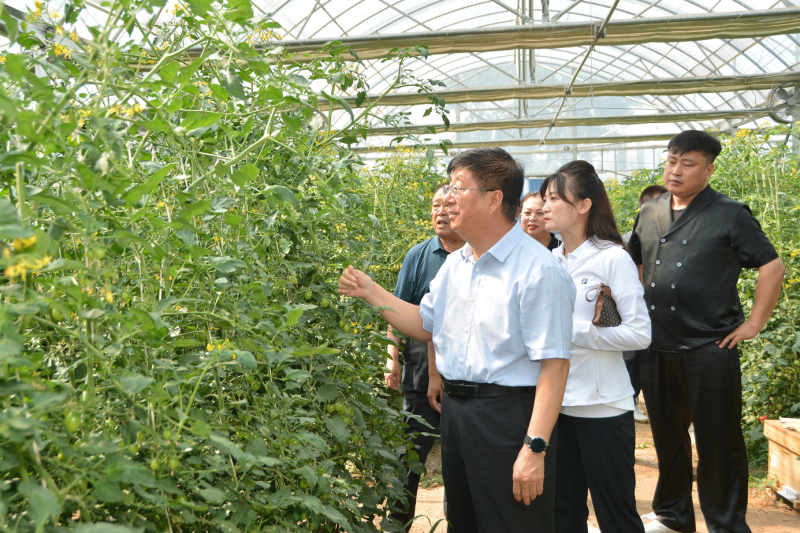 黨委書記馮印濤率隊赴懷安縣考察調研