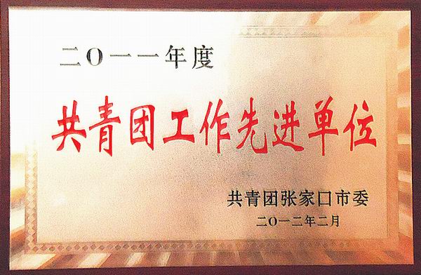 熱烈祝賀我院團委獲得“五四紅旗團委”榮譽稱號