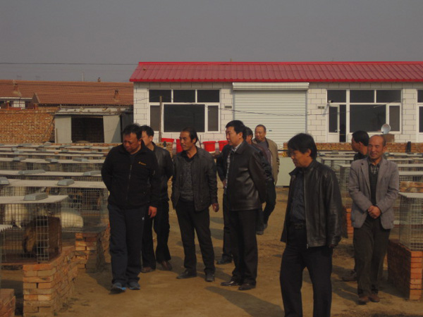 黨委書記胡煒赴赤城調研駐村幫扶工作