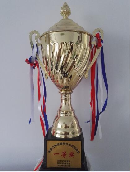 【喜訊】我院學(xué)子在張家口市首屆冰雪運(yùn)動(dòng)會(huì)上喜獲佳績(jī)