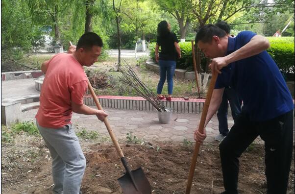 電氣工程系組織教師開展植樹活動