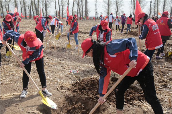 信息系、經管系志愿者參與全市義務植樹活動