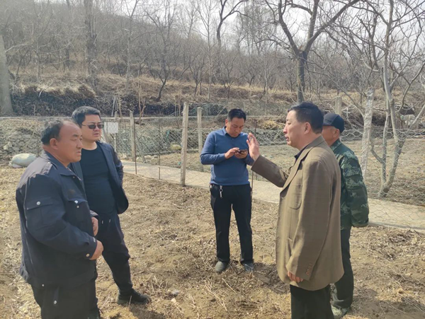 聚力鄉村促振興 | 學院駐北新屯村鄉村振興工作隊力促當地特色產業發展