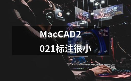 MacCAD2021标注很小-第1张-游戏相关-话依网