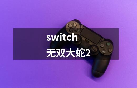 switch无双大蛇2-第1张-游戏相关-话依网