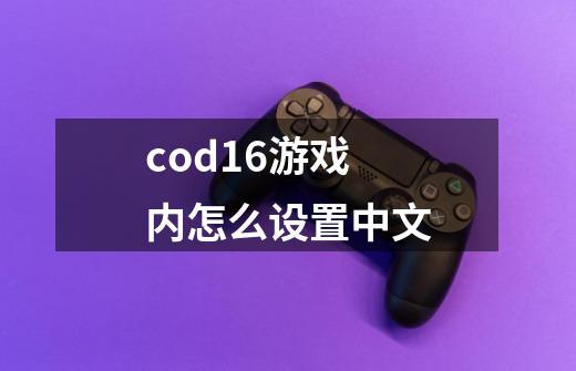 cod16游戏内怎么设置中文-第1张-游戏相关-话依网