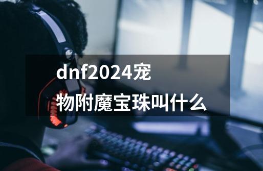 dnf2024宠物附魔宝珠叫什么-第1张-游戏相关-话依网
