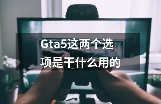 Gta5这两个选项是干什么用的-第1张-游戏相关-话依网