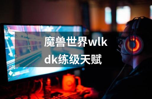 魔兽世界wlkdk练级天赋-第1张-游戏相关-话依网