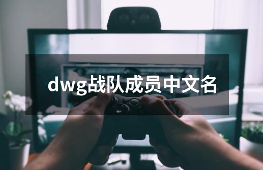 dwg战队成员中文名-第1张-游戏相关-话依网