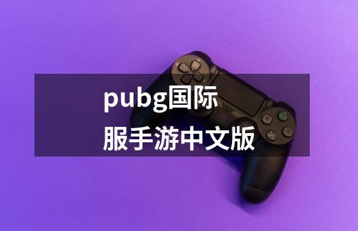 pubg国际服手游中文版-第1张-游戏相关-话依网