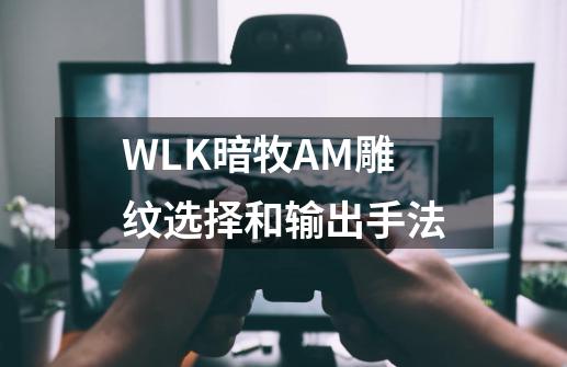 WLK暗牧AM雕纹选择和输出手法-第1张-游戏相关-话依网
