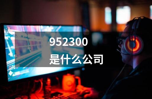 952300是什么公司-第1张-游戏相关-话依网
