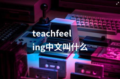 teachfeeling中文叫什么-第1张-游戏相关-话依网