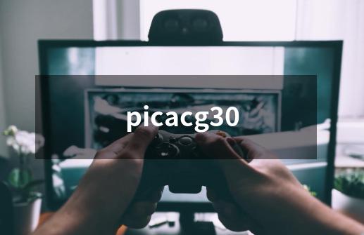picacg30-第1张-游戏相关-话依网