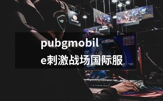 pubgmobile刺激战场国际服-第1张-游戏相关-话依网