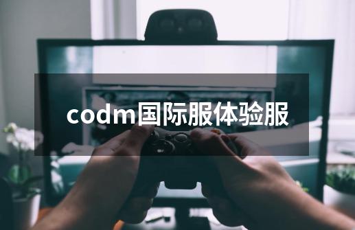 codm国际服体验服-第1张-游戏相关-话依网