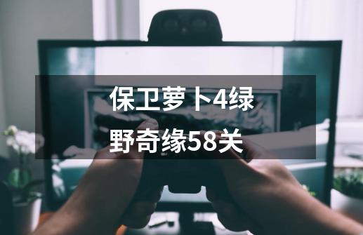 保卫萝卜4绿野奇缘58关-第1张-游戏相关-话依网