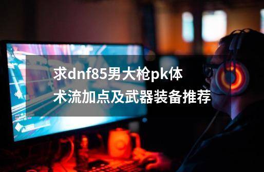 求dnf85男大枪pk体术流加点及武器装备推荐-第1张-游戏相关-话依网