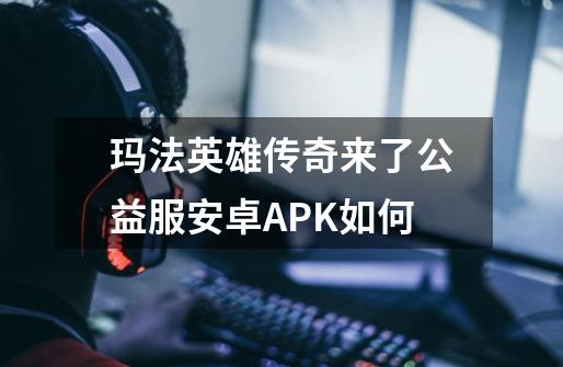 玛法英雄传奇来了公益服安卓APK如何-第1张-游戏相关-话依网