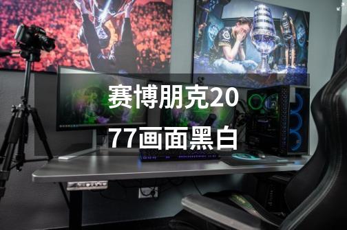 赛博朋克2077画面黑白-第1张-游戏相关-话依网