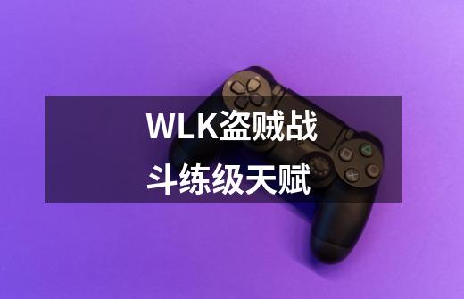 WLK盗贼战斗练级天赋-第1张-游戏相关-话依网