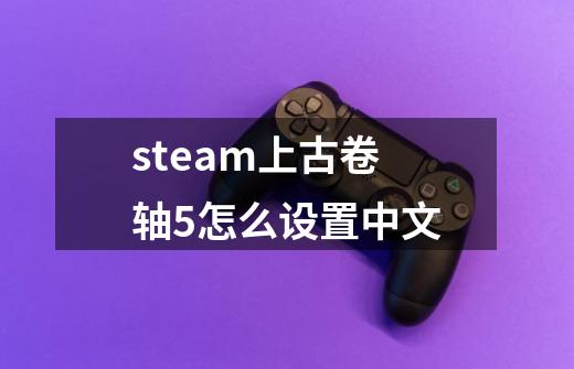 steam上古卷轴5怎么设置中文-第1张-游戏相关-话依网