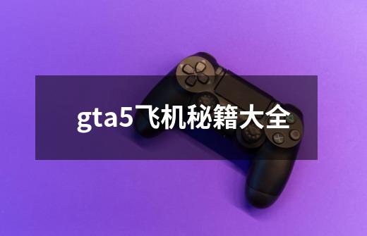 gta5飞机秘籍大全-第1张-游戏相关-话依网