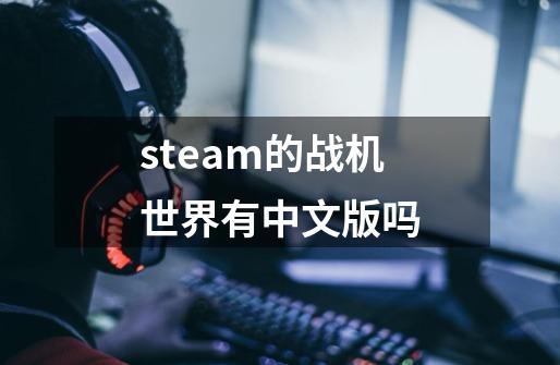 steam的战机世界有中文版吗-第1张-游戏相关-话依网