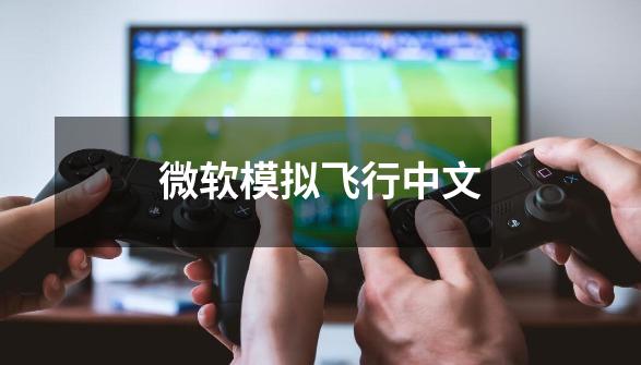 微软模拟飞行中文-第1张-游戏相关-话依网