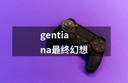gentiana最终幻想-第1张-游戏相关-话依网