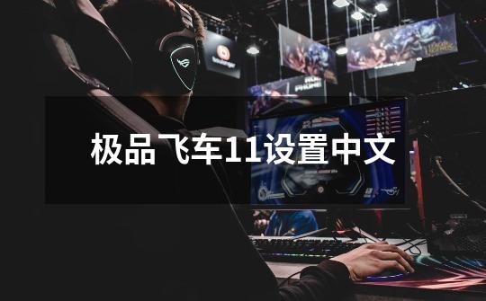极品飞车11设置中文-第1张-游戏相关-话依网