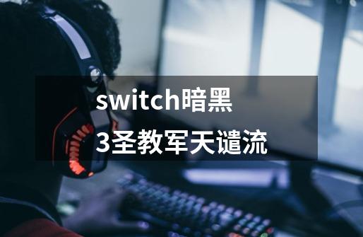 switch暗黑3圣教军天谴流-第1张-游戏相关-话依网