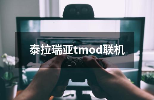 泰拉瑞亚tmod联机-第1张-游戏相关-话依网