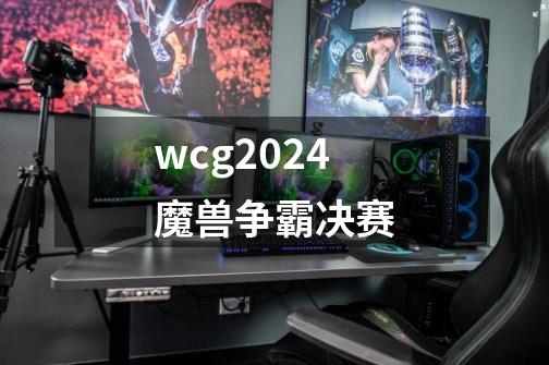wcg2024魔兽争霸决赛-第1张-游戏相关-话依网