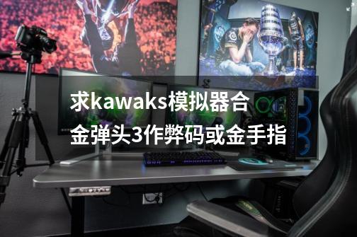 求kawaks模拟器合金弹头3作弊码或金手指-第1张-游戏相关-话依网