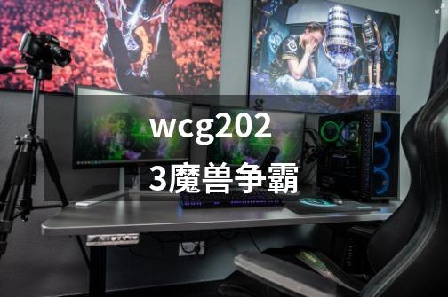wcg2023魔兽争霸-第1张-游戏相关-话依网