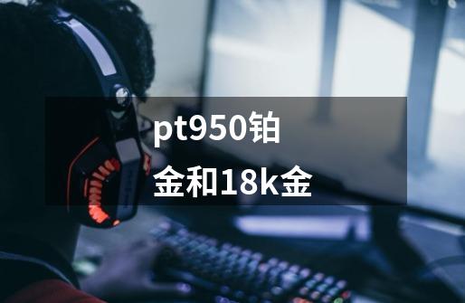 pt950铂金和18k金-第1张-游戏相关-话依网