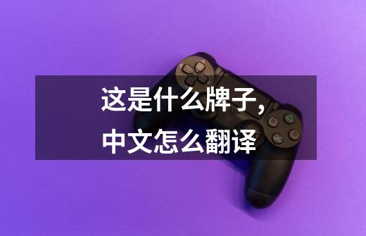 这是什么牌子,中文怎么翻译-第1张-游戏相关-话依网