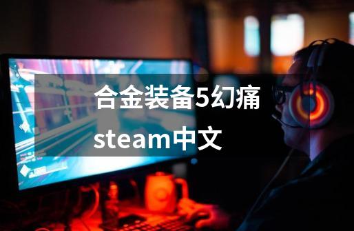 合金装备5幻痛steam中文-第1张-游戏相关-话依网