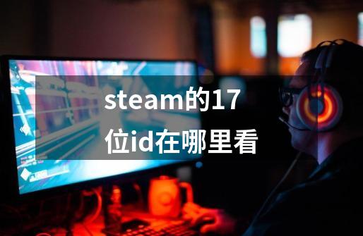 steam的17位id在哪里看-第1张-游戏相关-话依网