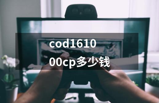cod161000cp多少钱-第1张-游戏相关-话依网