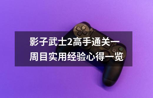 影子武士2高手通关一周目实用经验心得一览-第1张-游戏相关-话依网