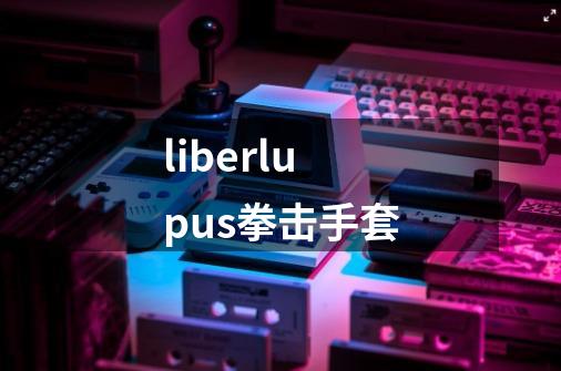 liberlupus拳击手套-第1张-游戏相关-话依网