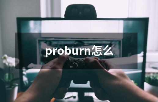 proburn怎么-第1张-游戏相关-话依网