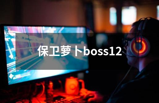 保卫萝卜boss12-第1张-游戏相关-话依网