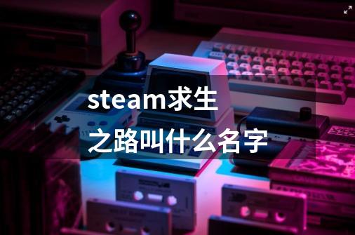 steam求生之路叫什么名字-第1张-游戏相关-话依网