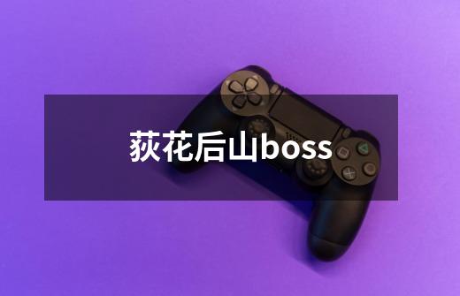 荻花后山boss-第1张-游戏相关-话依网